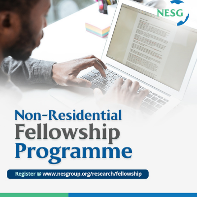 NESG calls for Application to its Non-resident Fellowship Programme